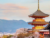 日本留學(xué)生活