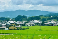 芥末留學(xué)