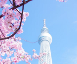 日本留學