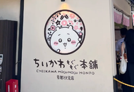 芥末留學