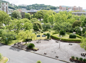 日本大學