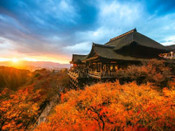 日本留學語言學校