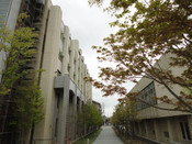 日本留學(xué)
