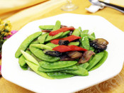 荷蘭留學(xué)