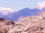 日本留學