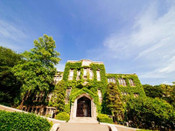 延世大學