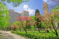 韓國國立大學