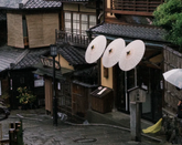 芥末留學