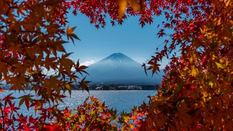 日本留学