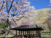 日本留學(xué)