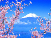 芥末留學