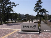 芥末留學(xué)