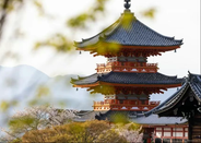 日本留学费用