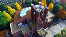 芥末留学