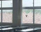 芥末留學(xué)