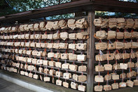 日本留学