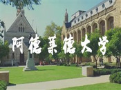 芥末留學