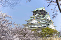 日本留學(xué)