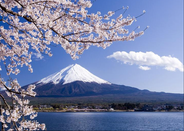 日本留學