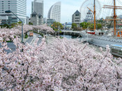 日本留學