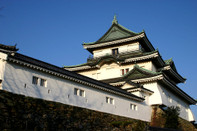 日本留学