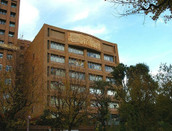 日本留學(xué)