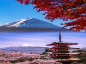 日本理工科留学一站式全解析