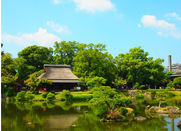 日本会计学专业