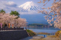 日本留學費用