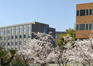 日本留學