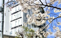 安日本语学校