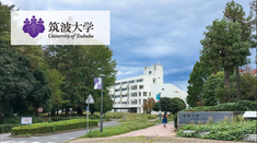 芥末留学