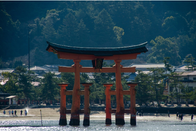 芥末留学