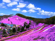 北海道旅游