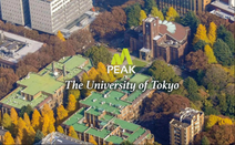 英文项目申请