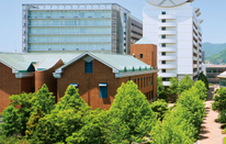 日本大學