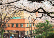 日本留學