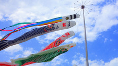 日本留学