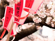 芥末留學(xué)