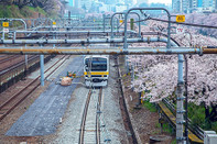 日本留学