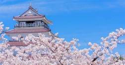 语言学校