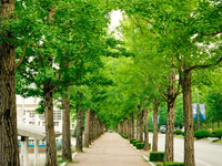 韩国留学GSIS