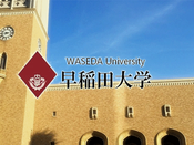 早稻田大學