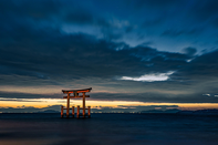 日本留学