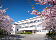免学费申请路径 + 奖学金攻略全解析