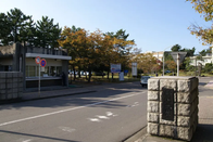 日本留学