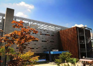 韓國大學