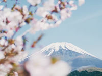 赴日就职选日本语言学校