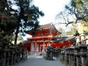 芥末留學(xué)