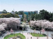 芥末留學